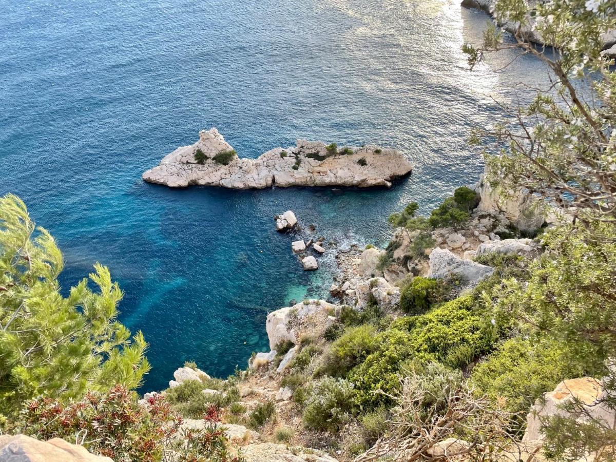 Vue Le Panoramique Vieux-port De