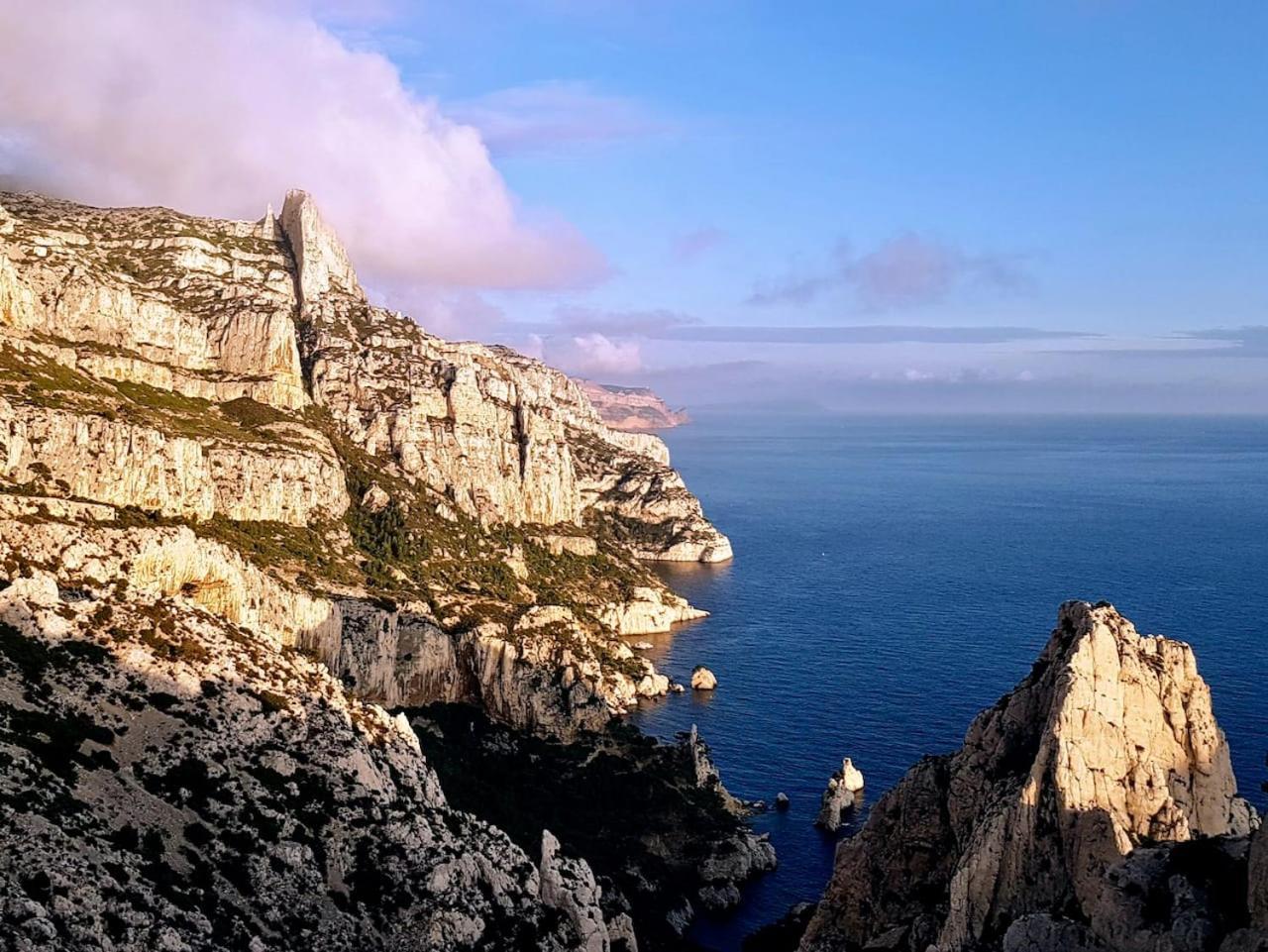 Vue Le Panoramique Vieux-port De Marseille