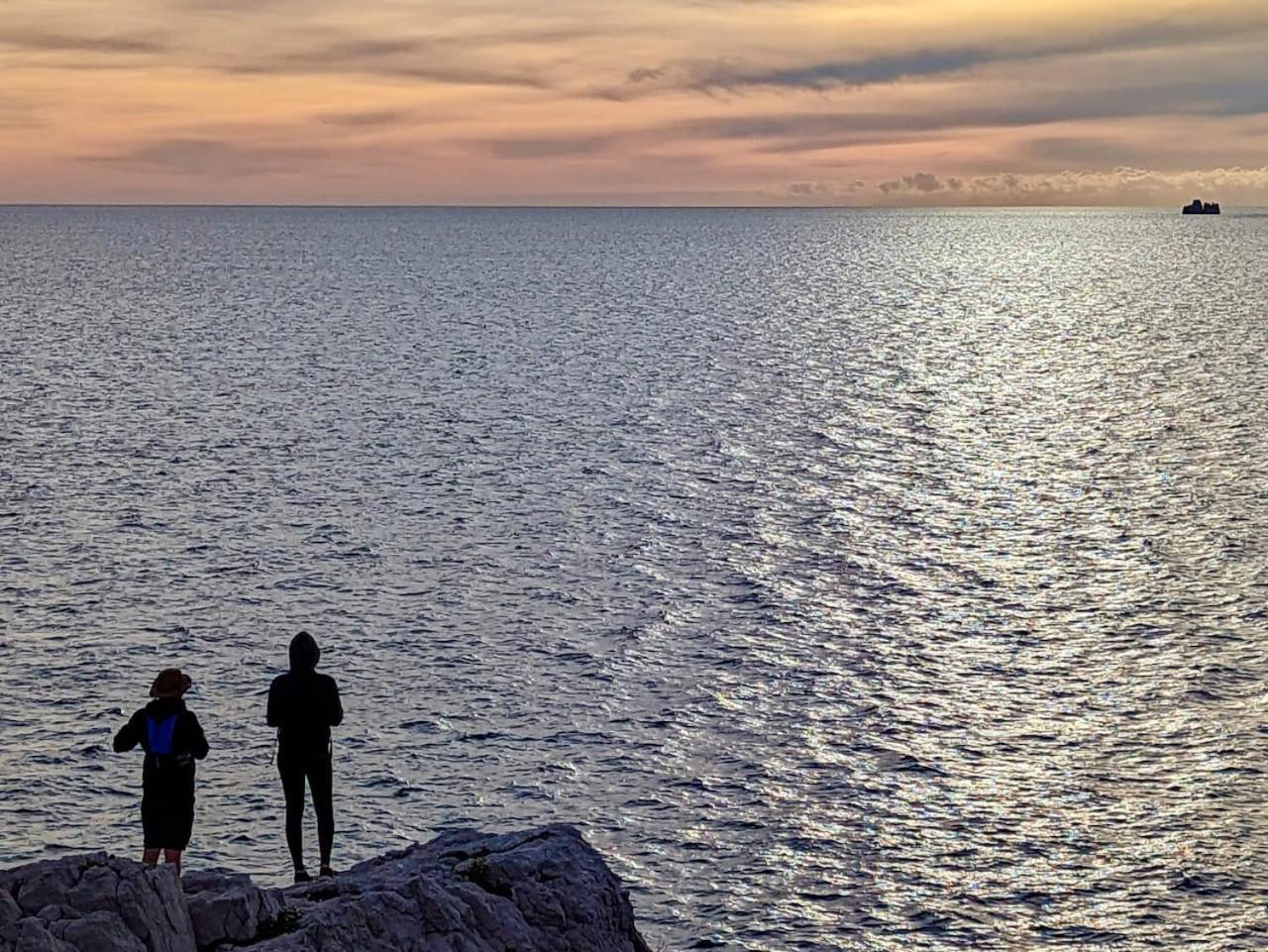 Vue Le Panoramique Vieux-port De Marseille