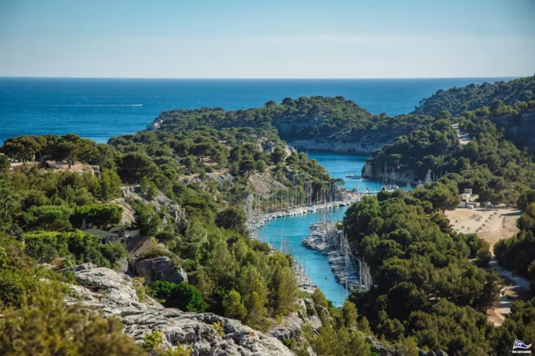 Vue Le Panoramique Vieux-port De Appartement